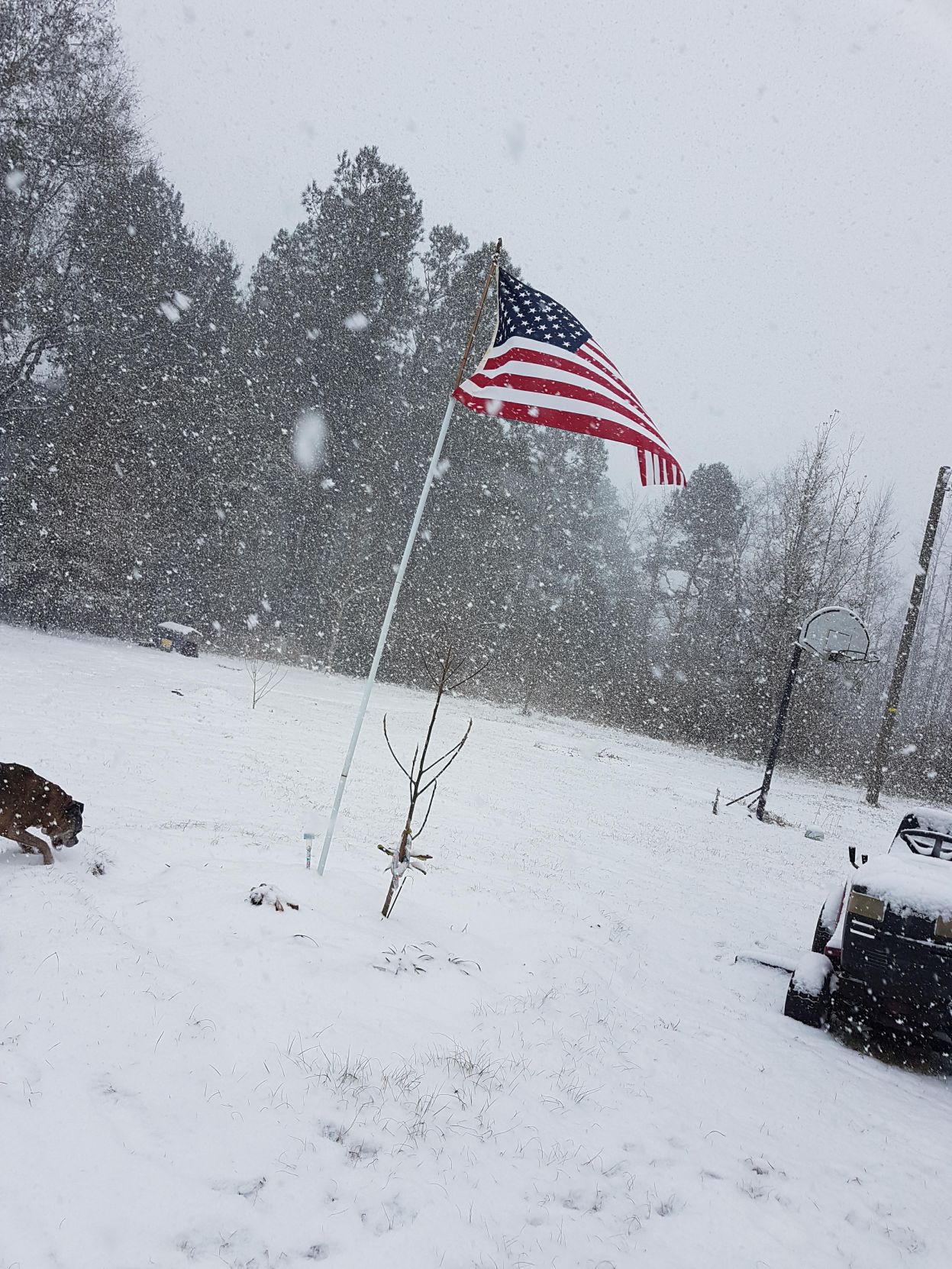 Reader's Snow Day Pics
